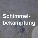 Schimmelbekämpfung